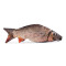 Trousse de toilette Poisson fish - miniature